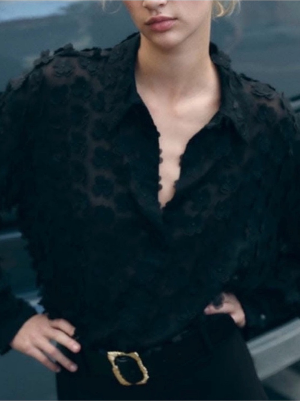 NWT Zara RARE & Retired HTF Black Floral Appliqué Button-Front Shirt Stunning! - Picture 11 of 11